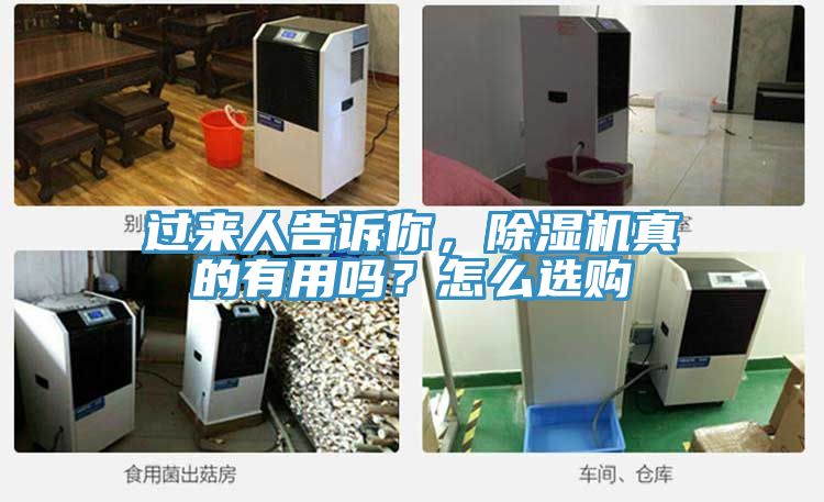 過(guò)來(lái)人告訴你，除濕機真的有用嗎？怎么選購