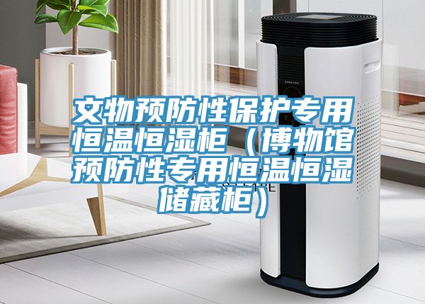 文物預防性保護專(zhuān)用恒溫恒濕柜（博物館預防性專(zhuān)用恒溫恒濕儲藏柜）
