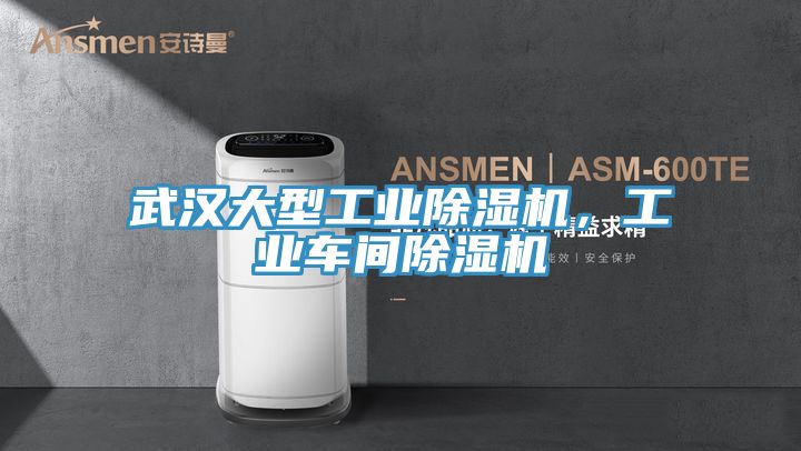 武漢大型工業(yè)除濕機，工業(yè)車(chē)間除濕機