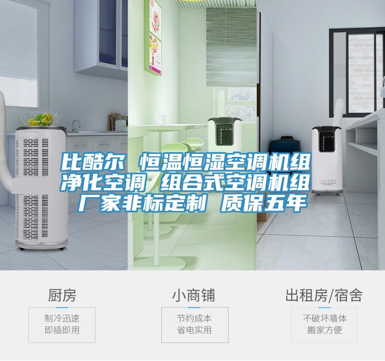 比酷爾 恒溫恒濕空調機組 凈化空調 組合式空調機組 廠(chǎng)家非標定制 質(zhì)保五年