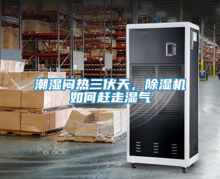 潮濕悶熱三伏天，除濕機如何趕走濕氣