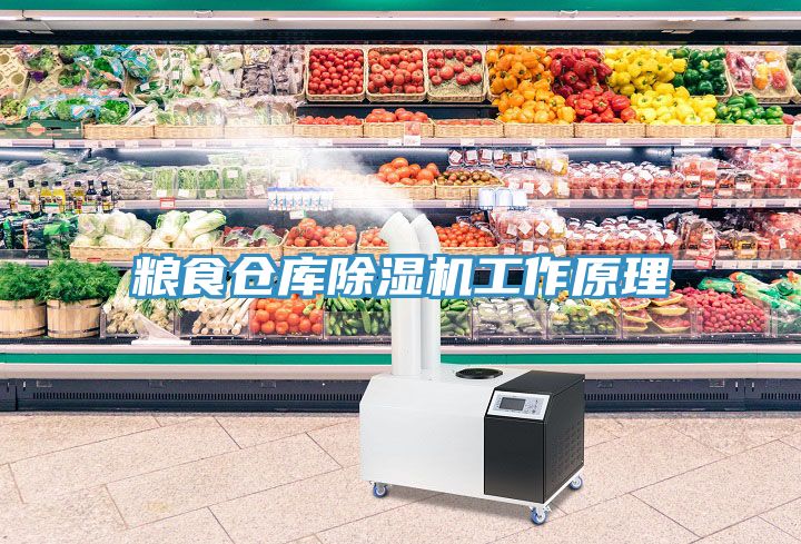 糧食倉庫除濕機工作原理