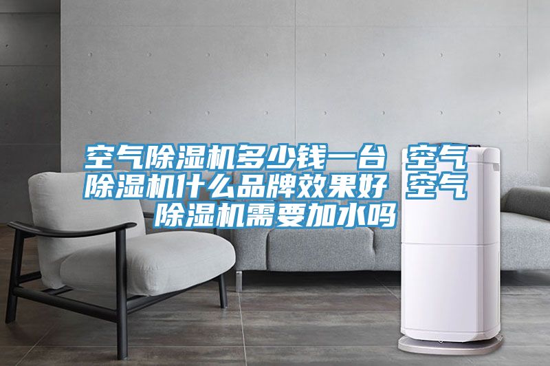 空氣除濕機多少錢(qián)一臺 空氣除濕機什么品牌效果好 空氣除濕機需要加水嗎