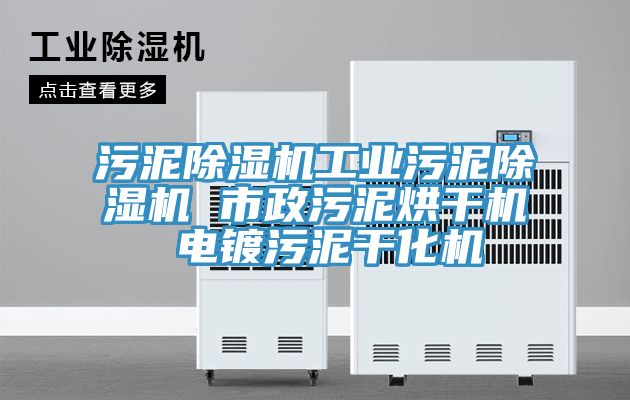 污泥除濕機工業(yè)污泥除濕機 市政污泥烘干機 電鍍污泥干化機