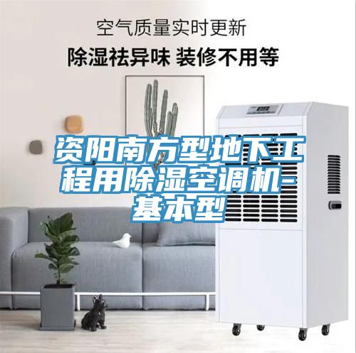 資陽(yáng)南方型地下工程用除濕空調機-基本型