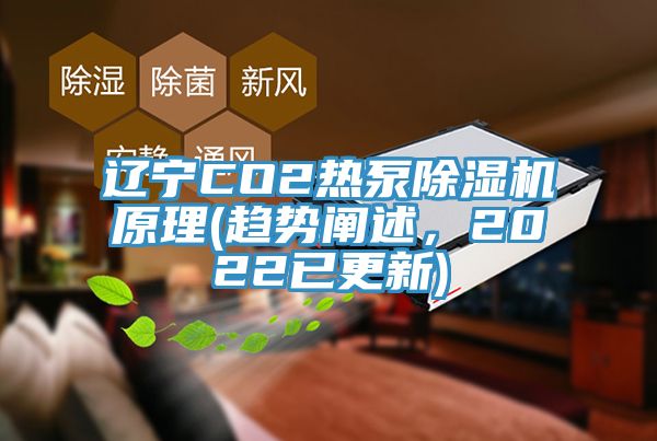 遼寧CO2熱泵除濕機原理(趨勢闡述，2022已更新)