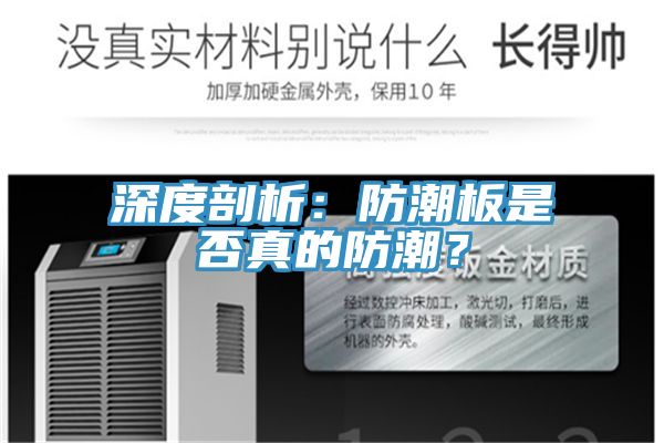 深度剖析：防潮板是否真的防潮？