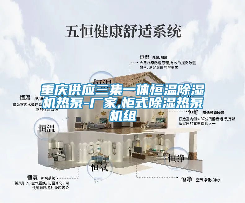 重慶供應三集一體恒溫除濕機熱泵-廠(chǎng)家,柜式除濕熱泵機組