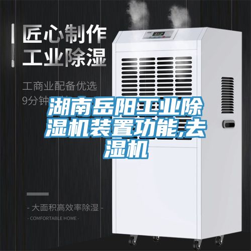 湖南岳陽(yáng)工業(yè)除濕機裝置功能,去濕機