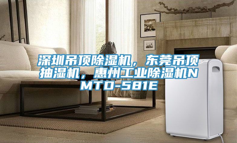 深圳吊頂除濕機，東莞吊頂抽濕機，惠州工業(yè)除濕機NMTD-581E