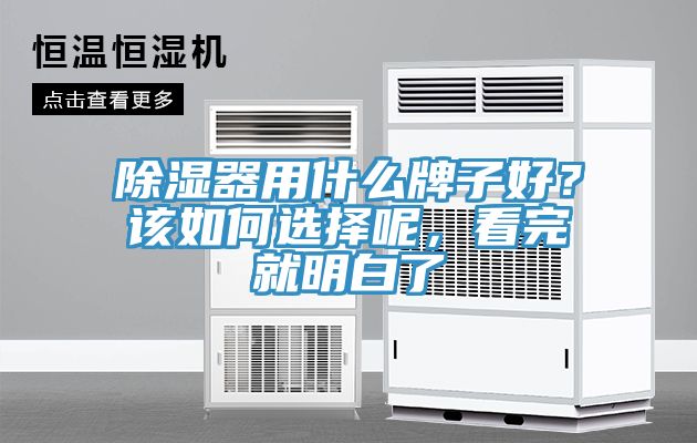 除濕器用什么牌子好？該如何選擇呢，看完就明白了