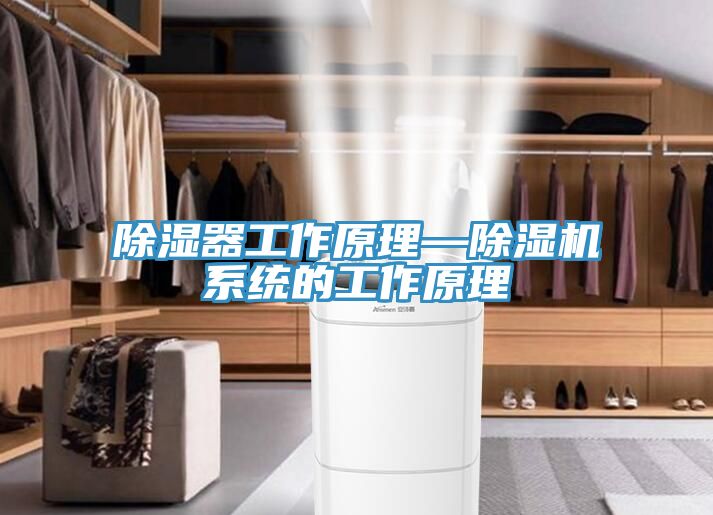 除濕器工作原理—除濕機系統的工作原理