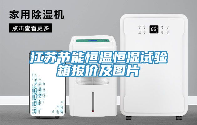 江蘇節能恒溫恒濕試驗箱報價(jià)及圖片
