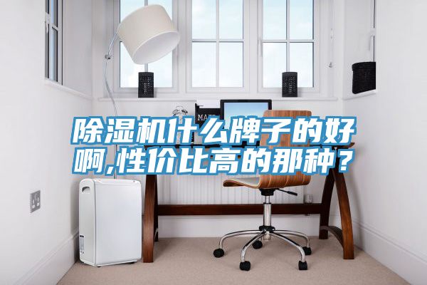 除濕機什么牌子的好啊,性?xún)r(jià)比高的那種？