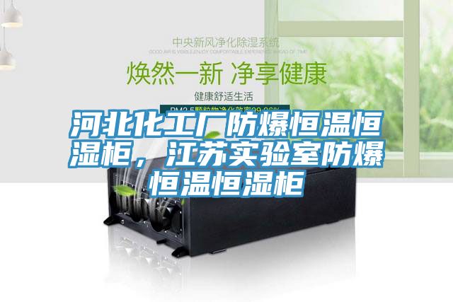 河北化工廠(chǎng)防爆恒溫恒濕柜，江蘇實(shí)驗室防爆恒溫恒濕柜