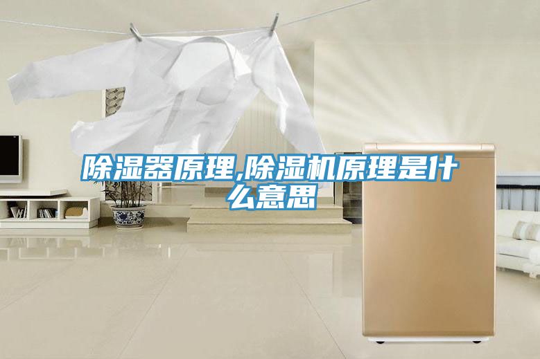除濕器原理,除濕機原理是什么意思