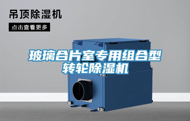 玻璃合片室專(zhuān)用組合型轉輪除濕機