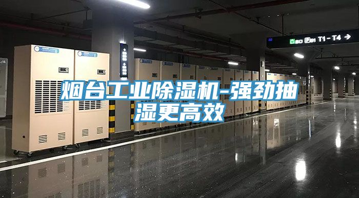 煙臺工業(yè)除濕機-強勁抽濕更高效