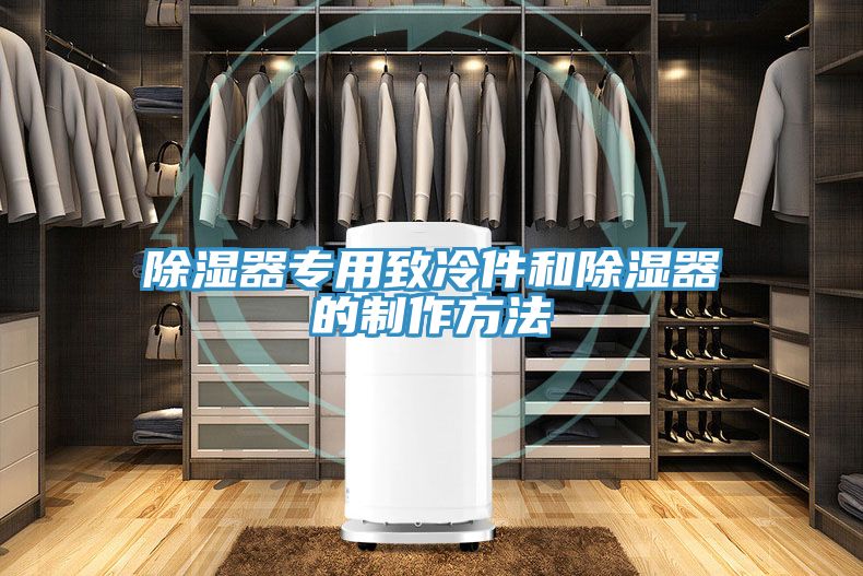 除濕器專(zhuān)用致冷件和除濕器的制作方法