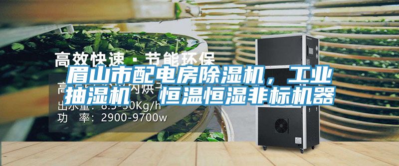 眉山市配電房除濕機，工業(yè)抽濕機  恒溫恒濕非標機器