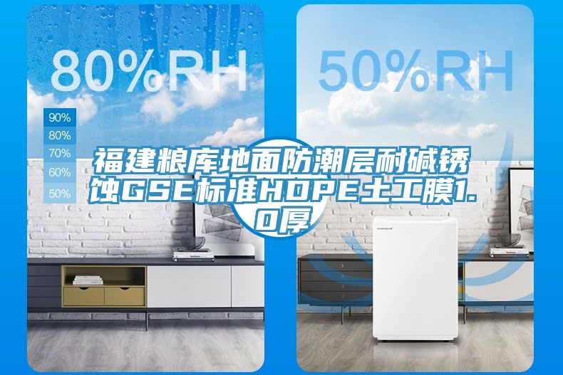 福建糧庫地面防潮層耐堿銹蝕GSE標準HDPE土工膜1.0厚