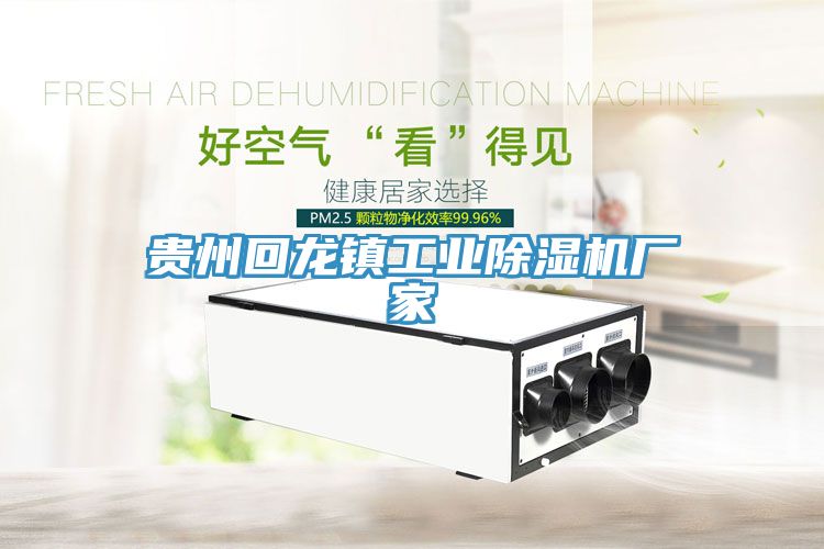 貴州回龍鎮工業(yè)除濕機廠(chǎng)家