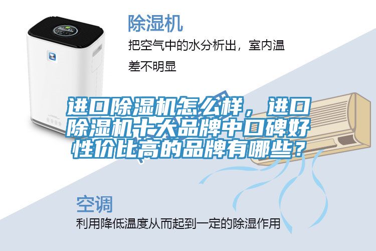 進(jìn)口除濕機怎么樣，進(jìn)口除濕機十大品牌中口碑好性?xún)r(jià)比高的品牌有哪些？