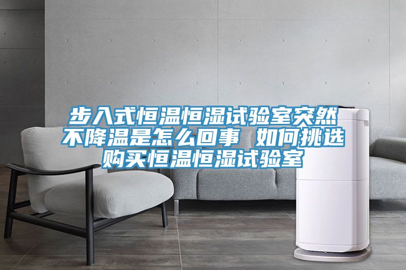 步入式恒溫恒濕試驗室突然不降溫是怎么回事 如何挑選購買(mǎi)恒溫恒濕試驗室