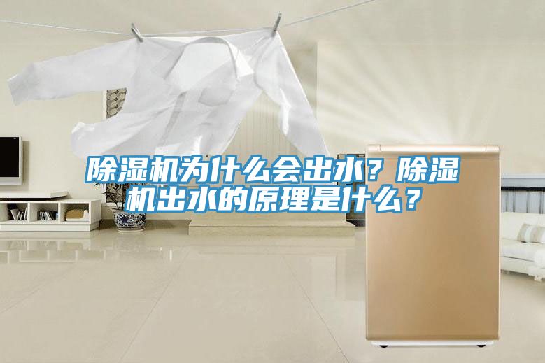 除濕機為什么會(huì )出水？除濕機出水的原理是什么？