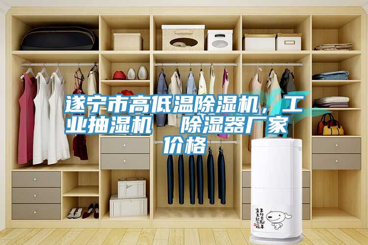遂寧市高低溫除濕機，工業(yè)抽濕機  除濕器廠(chǎng)家 價(jià)格