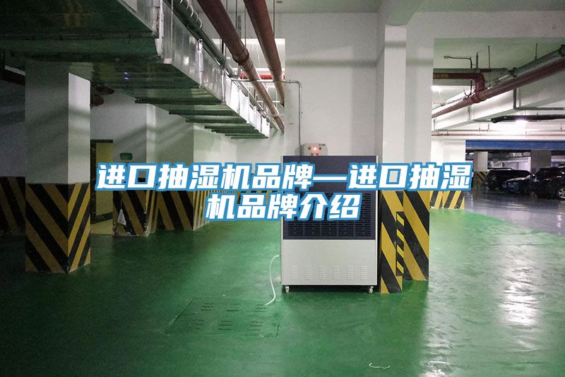進(jìn)口抽濕機品牌—進(jìn)口抽濕機品牌介紹