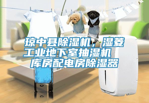 瓊中縣除濕機，濕菱工業(yè)地下室抽濕機  庫房配電房除濕器