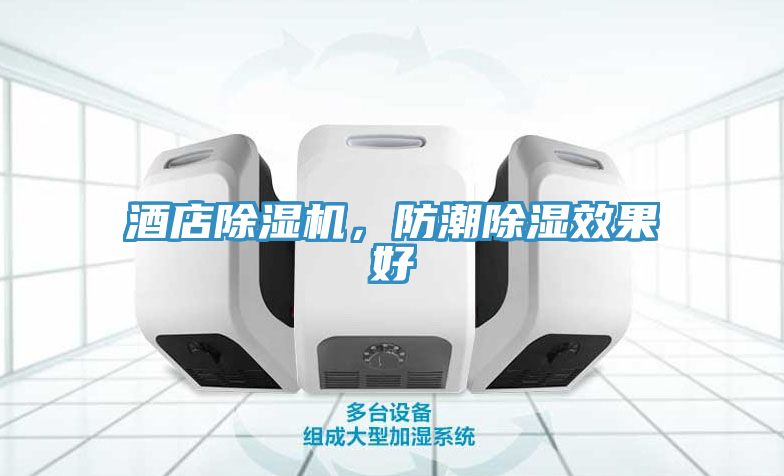 酒店除濕機，防潮除濕效果好