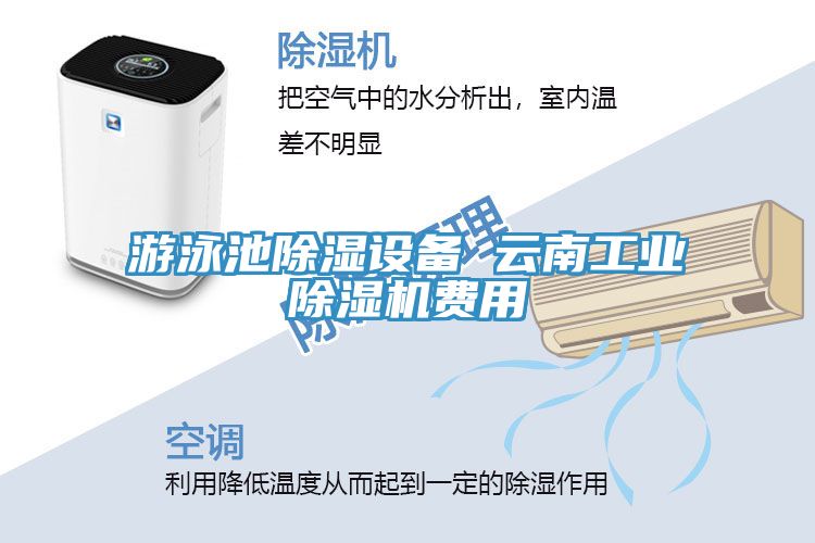 游泳池除濕設備 云南工業(yè)除濕機費用