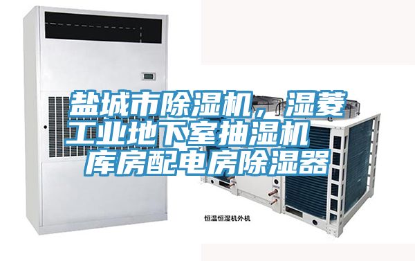 鹽城市除濕機，濕菱工業(yè)地下室抽濕機  庫房配電房除濕器