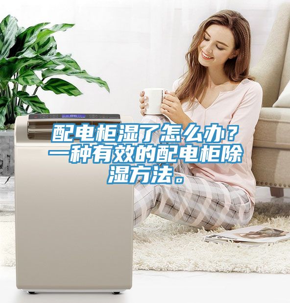 配電柜濕了怎么辦？一種有效的配電柜除濕方法。
