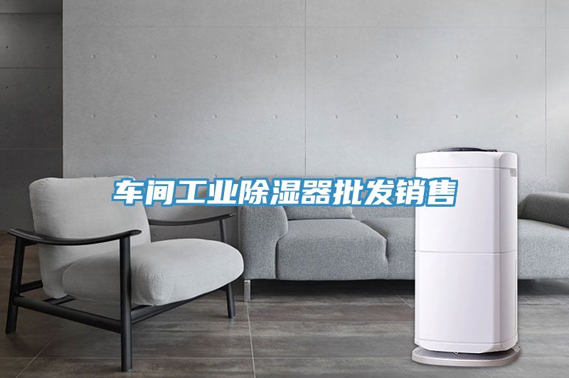 車(chē)間工業(yè)除濕器批發(fā)銷(xiāo)售