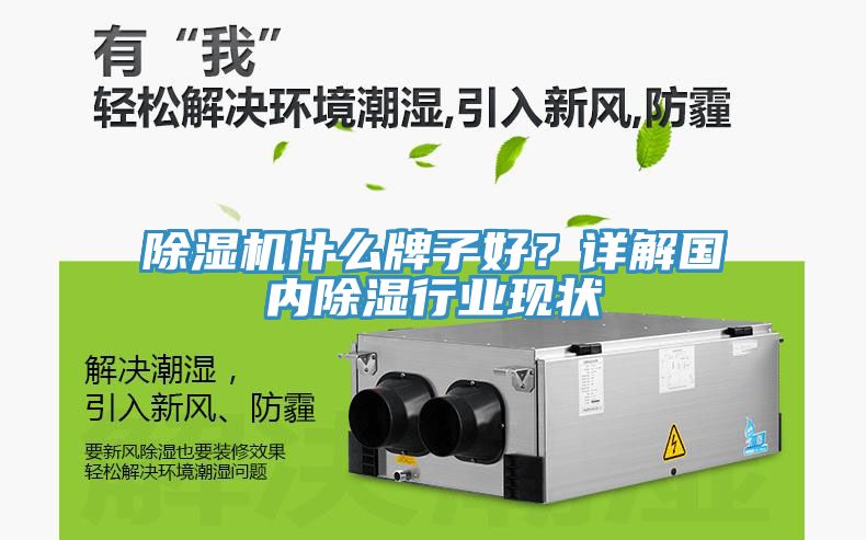 除濕機什么牌子好？詳解國內除濕行業(yè)現狀