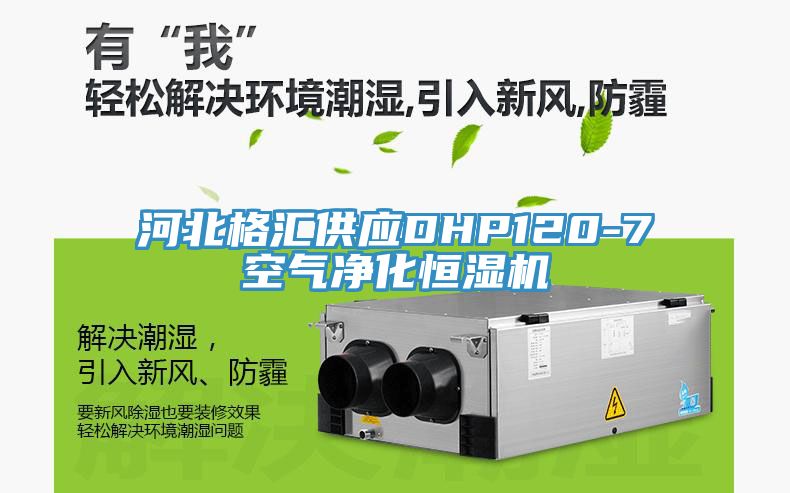 河北格匯供應DHP120-7空氣凈化恒濕機
