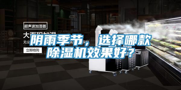 陰雨季節，選擇哪款除濕機效果好？