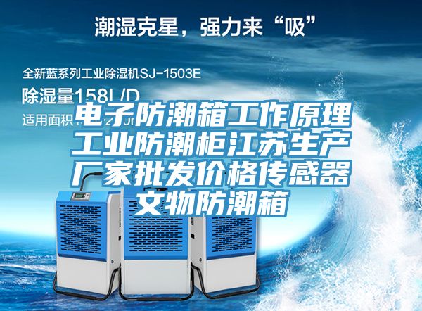 電子防潮箱工作原理工業(yè)防潮柜江蘇生產(chǎn)廠(chǎng)家批發(fā)價(jià)格傳感器文物防潮箱