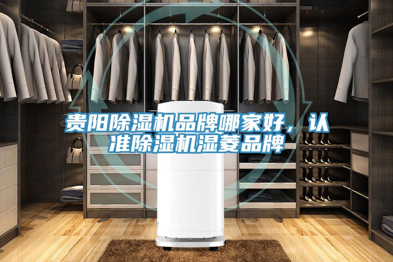 貴陽(yáng)除濕機品牌哪家好，認準除濕機濕菱品牌