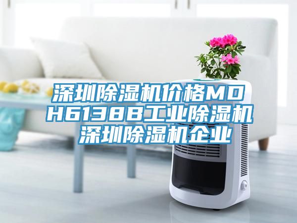 深圳除濕機價(jià)格MDH6138B工業(yè)除濕機 深圳除濕機企業(yè)
