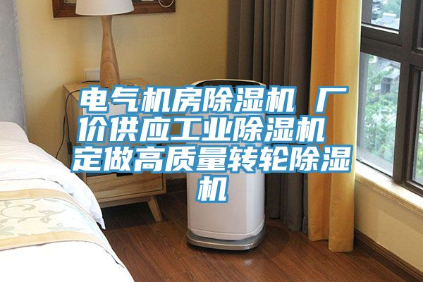 電氣機房除濕機 廠(chǎng)價(jià)供應工業(yè)除濕機 定做高質(zhì)量轉輪除濕機