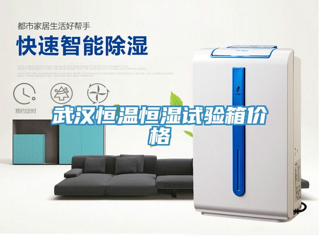 武漢恒溫恒濕試驗箱價(jià)格