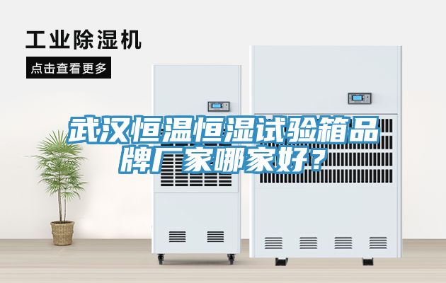武漢恒溫恒濕試驗箱品牌廠(chǎng)家哪家好？