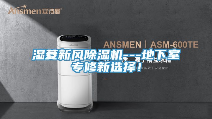 濕菱新風(fēng)除濕機---地下室專(zhuān)修新選擇！