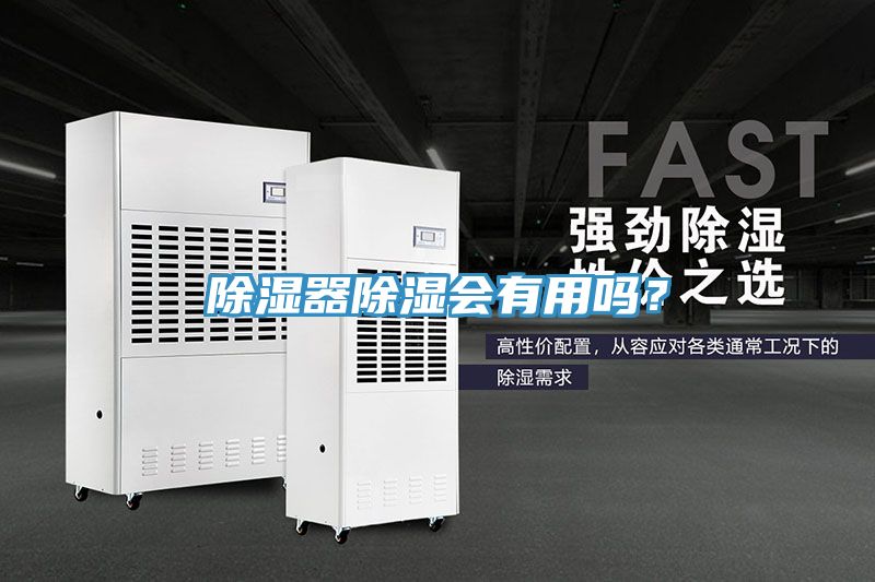 除濕器除濕會(huì )有用嗎？