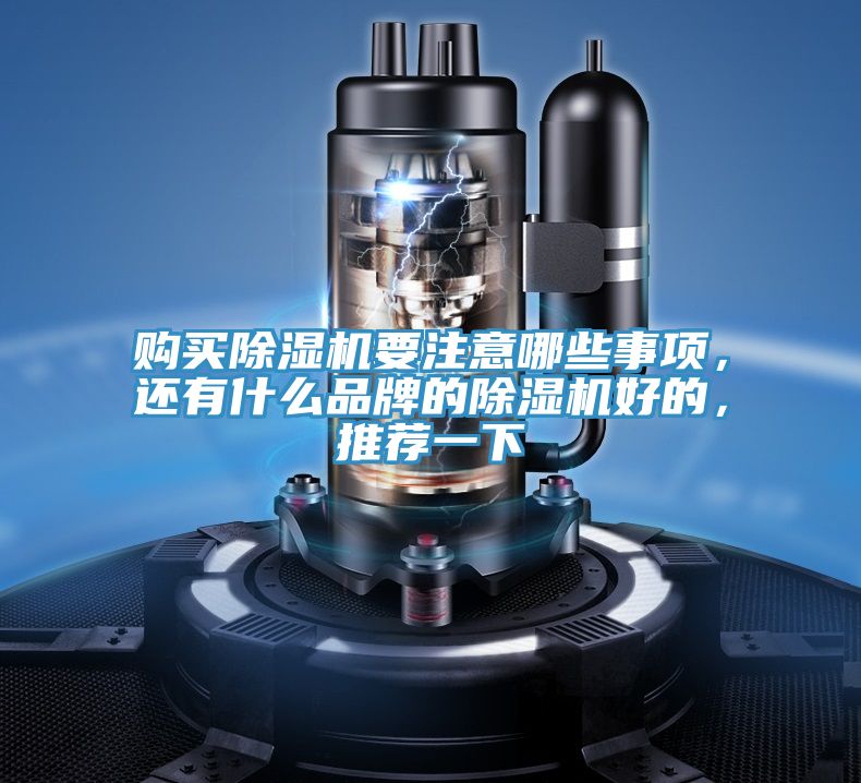 購買(mǎi)除濕機要注意哪些事項，還有什么品牌的除濕機好的，推薦一下