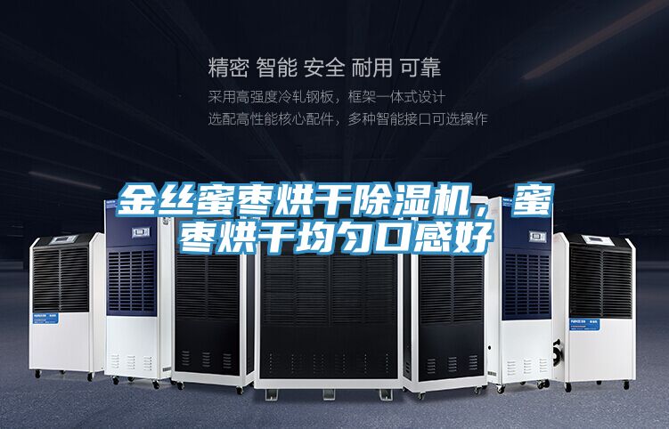 金絲蜜棗烘干除濕機，蜜棗烘干均勻口感好
